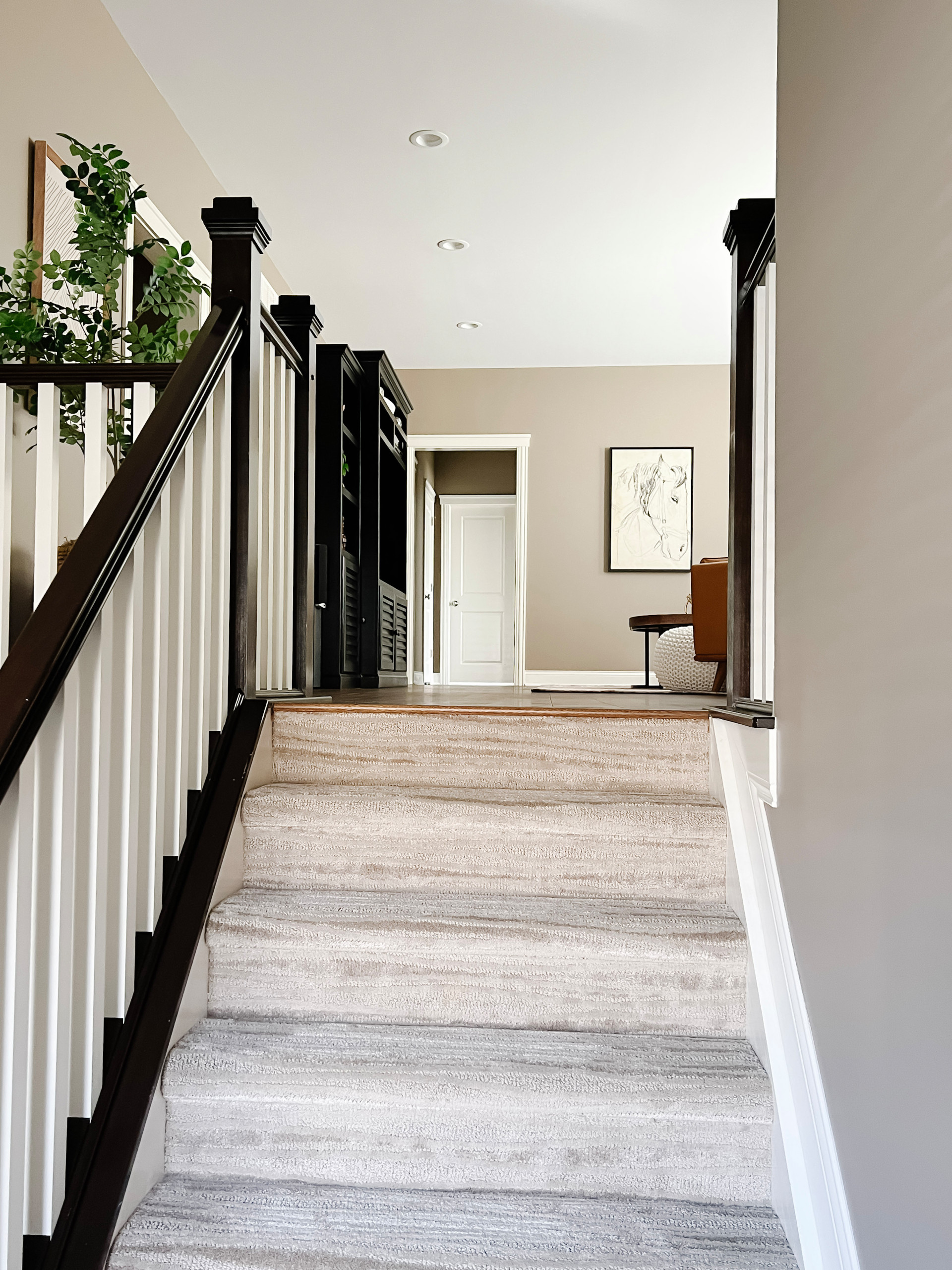 Family Rooms & Basements