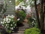 Traditional Landscape by Plan-it Earth Design
