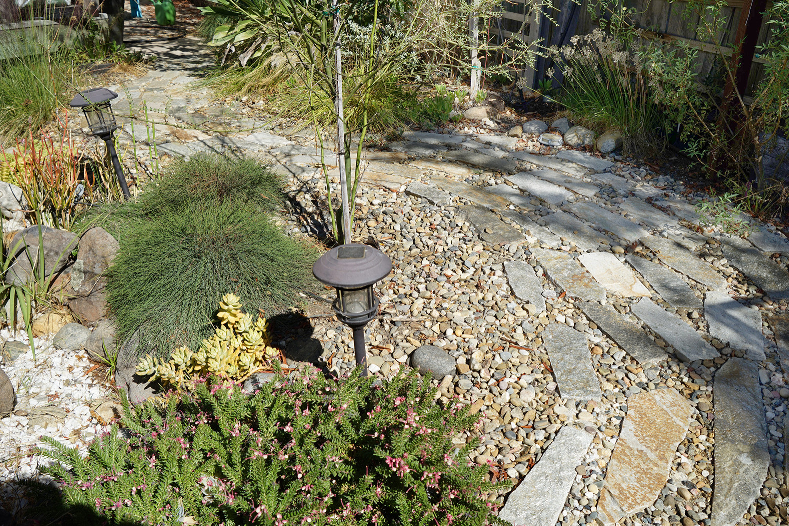 Curvy Rock Path