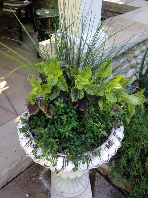 Container Gardens modern-garten
