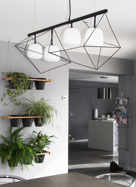 Extension B contemporary-dining-room