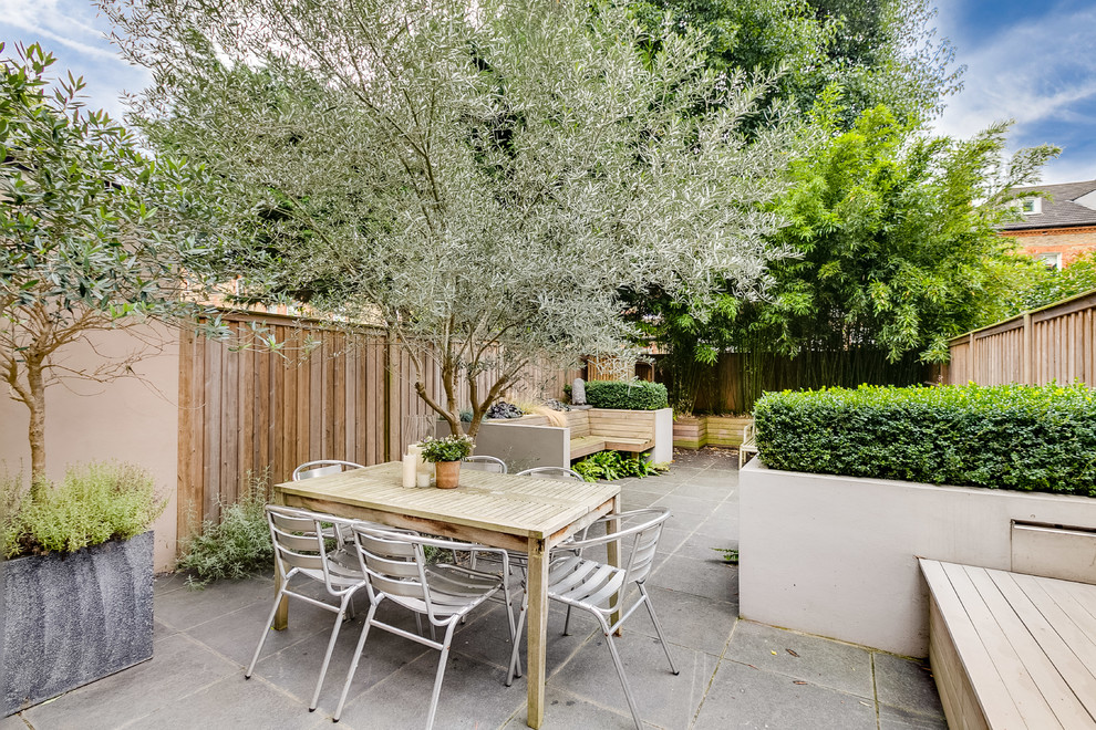 This is an example of a mid-sized contemporary backyard garden in London with a container garden.