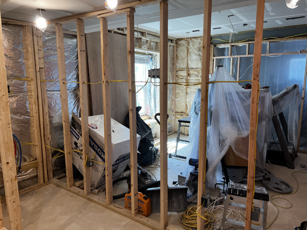 Basement Remodel