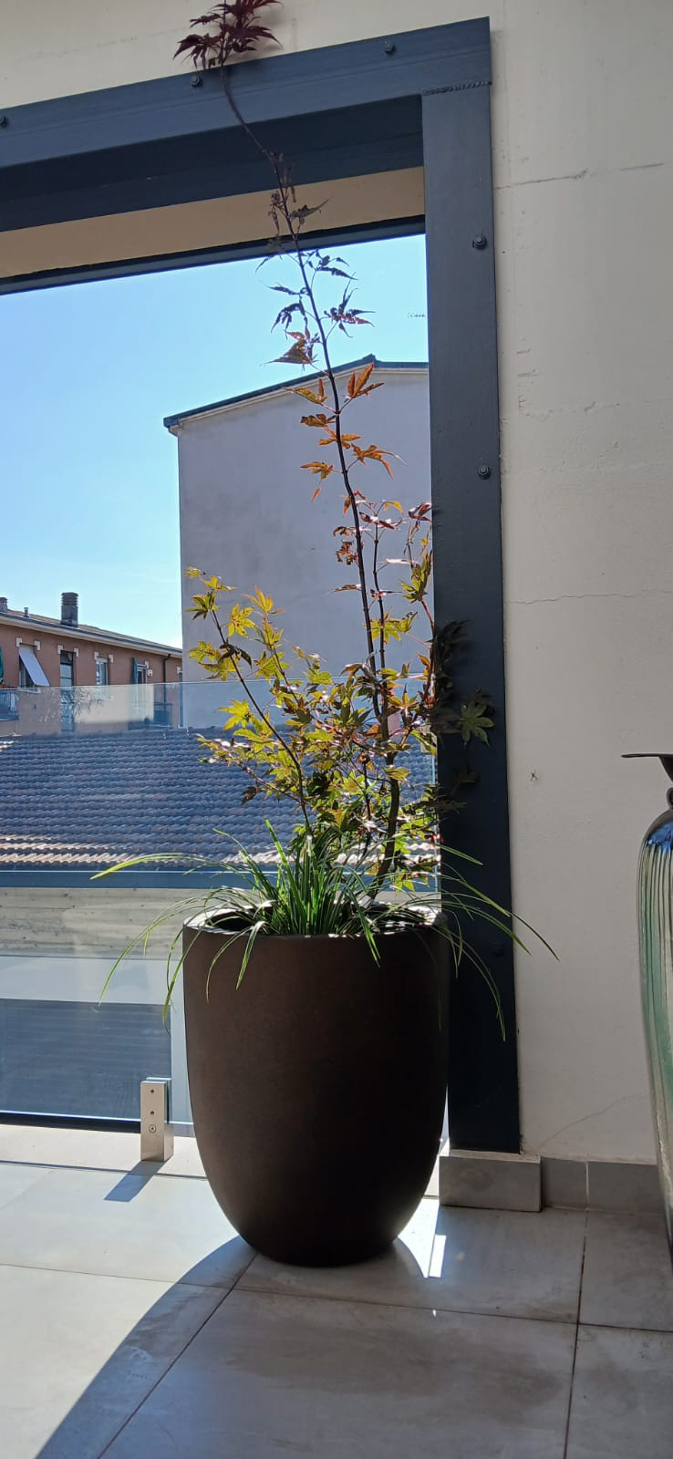 Realizzazione Wild in the city