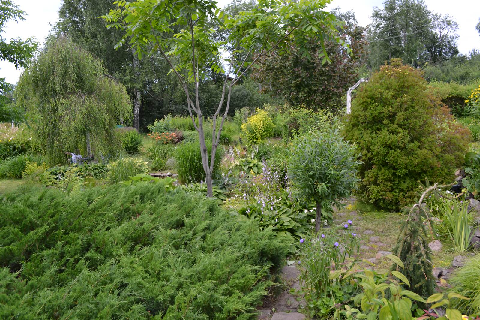 Сад  «Моя цветущая планета».