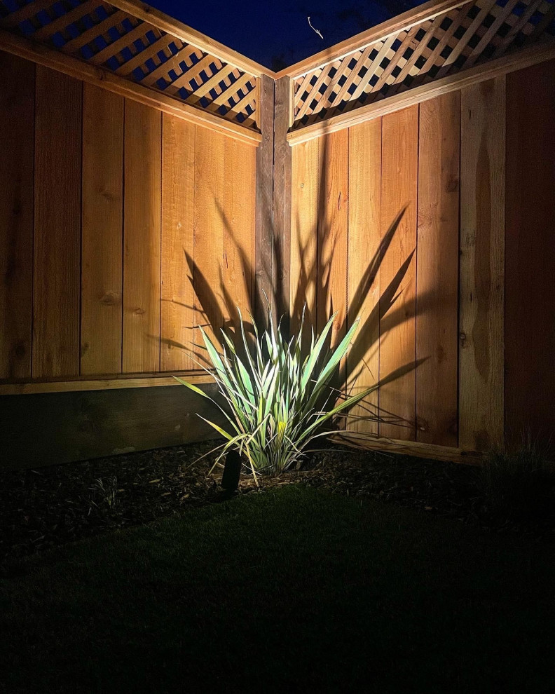 San Bruno - Backyard Social Spot