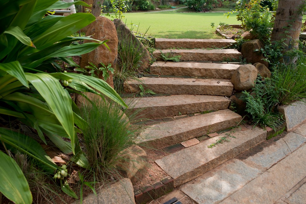 Photo of an Indian garden in Bengaluru.