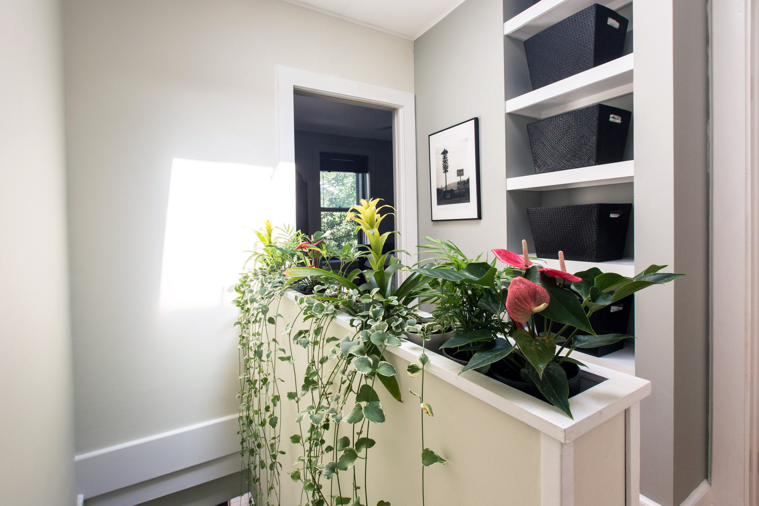 Cultivate a Midcentury Vibe With Built-In Planter Boxes