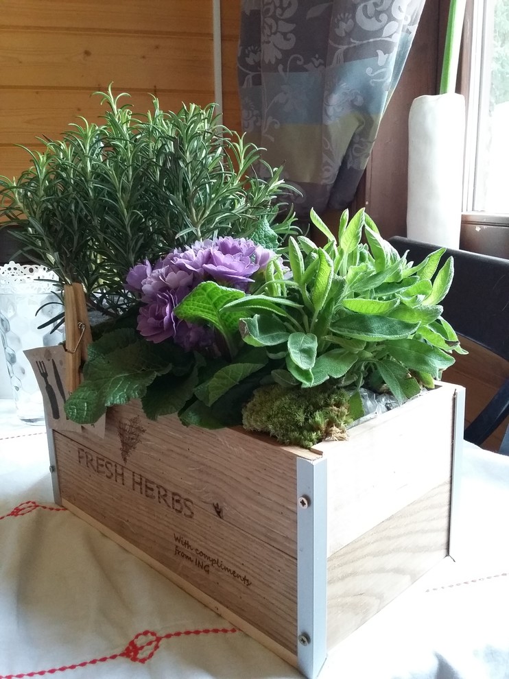 Ящики из дуба с ароматными травами