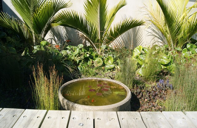 Raglan - Water feature contemporary-garden