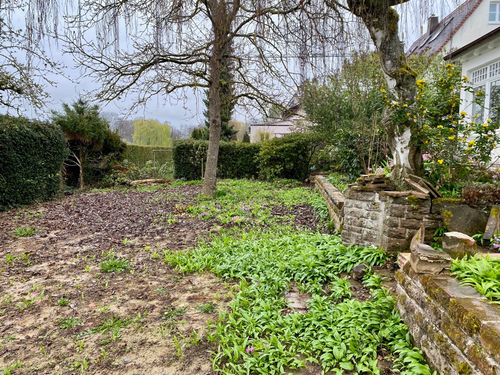 Gesamte Gartenanlage