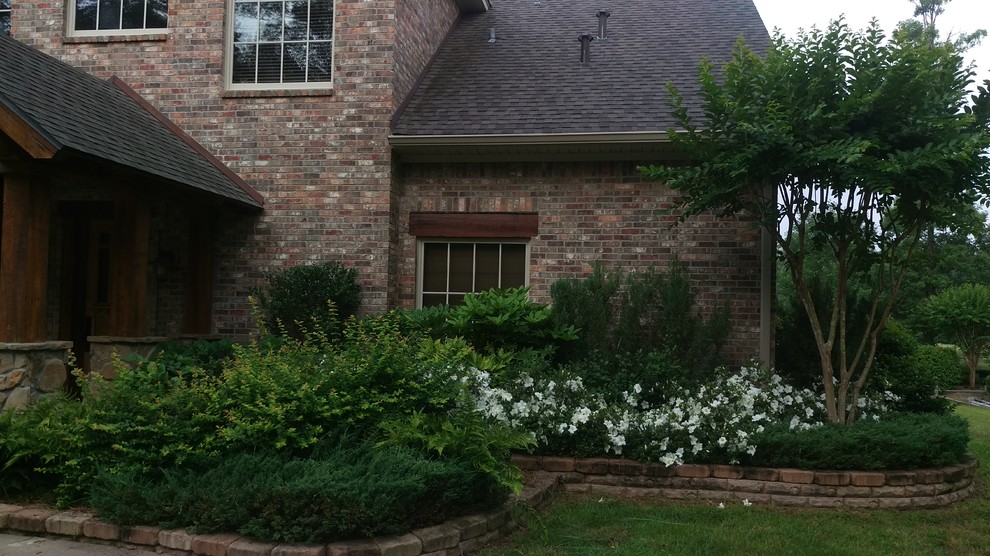 Not sure what to do with overgrown landscaping??