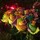 sally_bean49