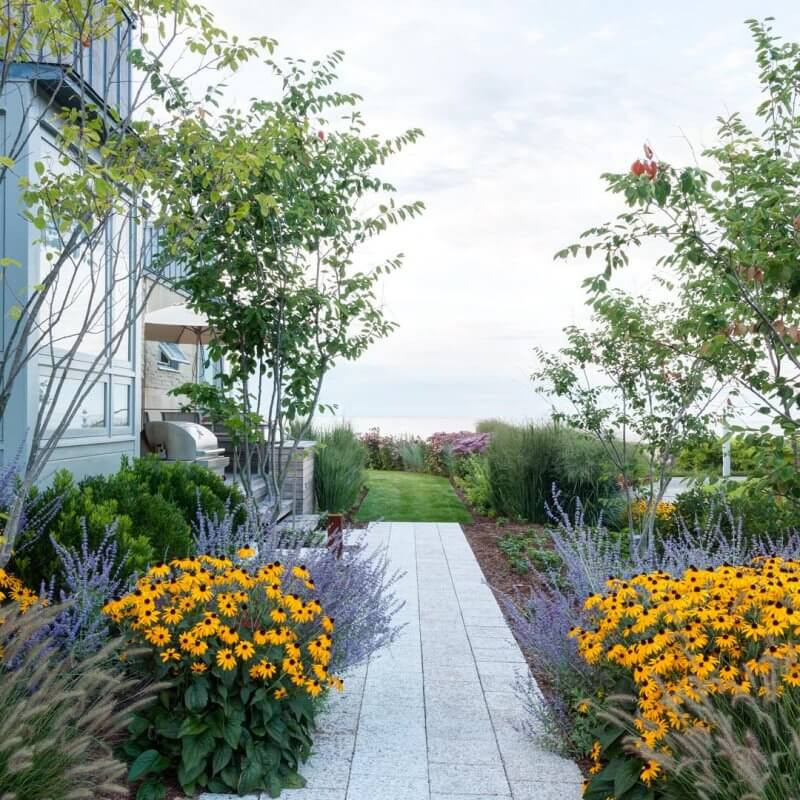 This is a coastal property on Long Island sound .We planted  salt tolerant perennials off the walkway to his home. Peter Atkins and Associates