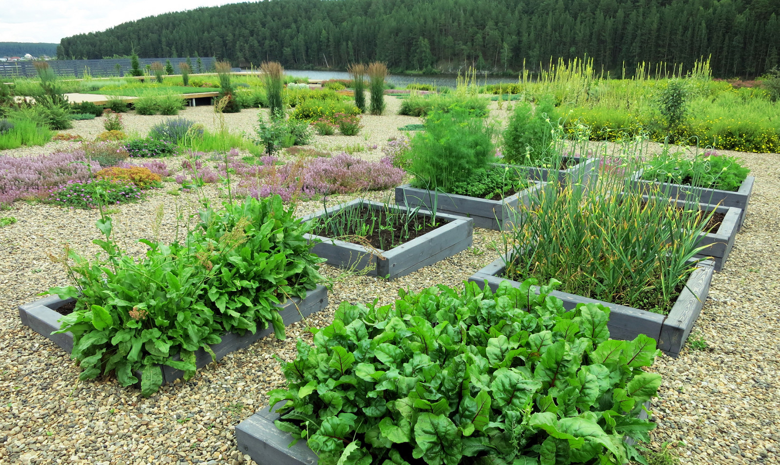 Полынный берег