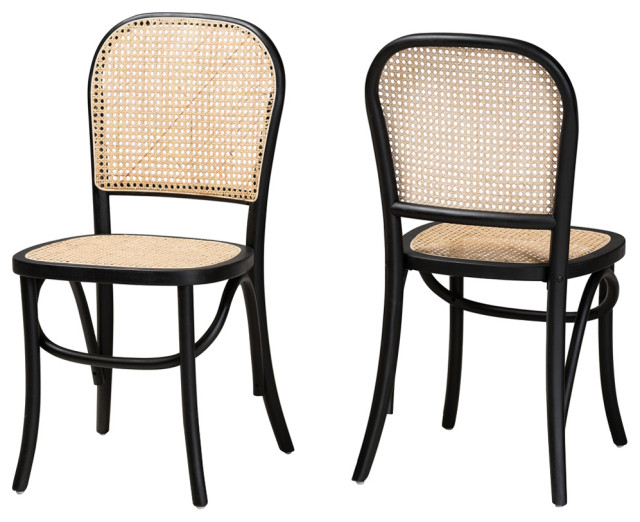 Jolyn Mid-Century 2-Piece Dining Chairs, Black - Tropical - Dining ...