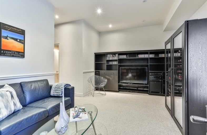 Transitional basement photo in Toronto