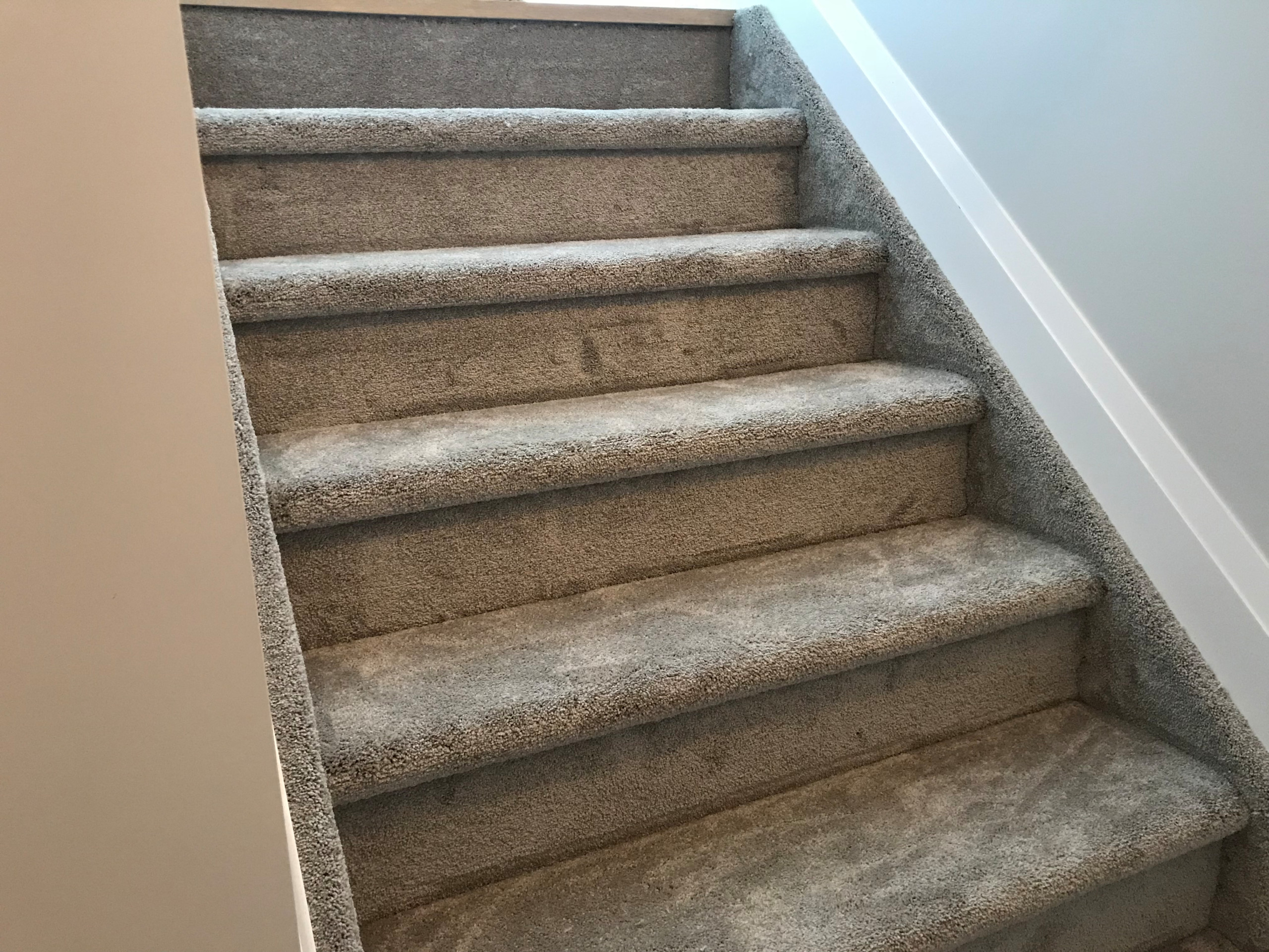 Carpet