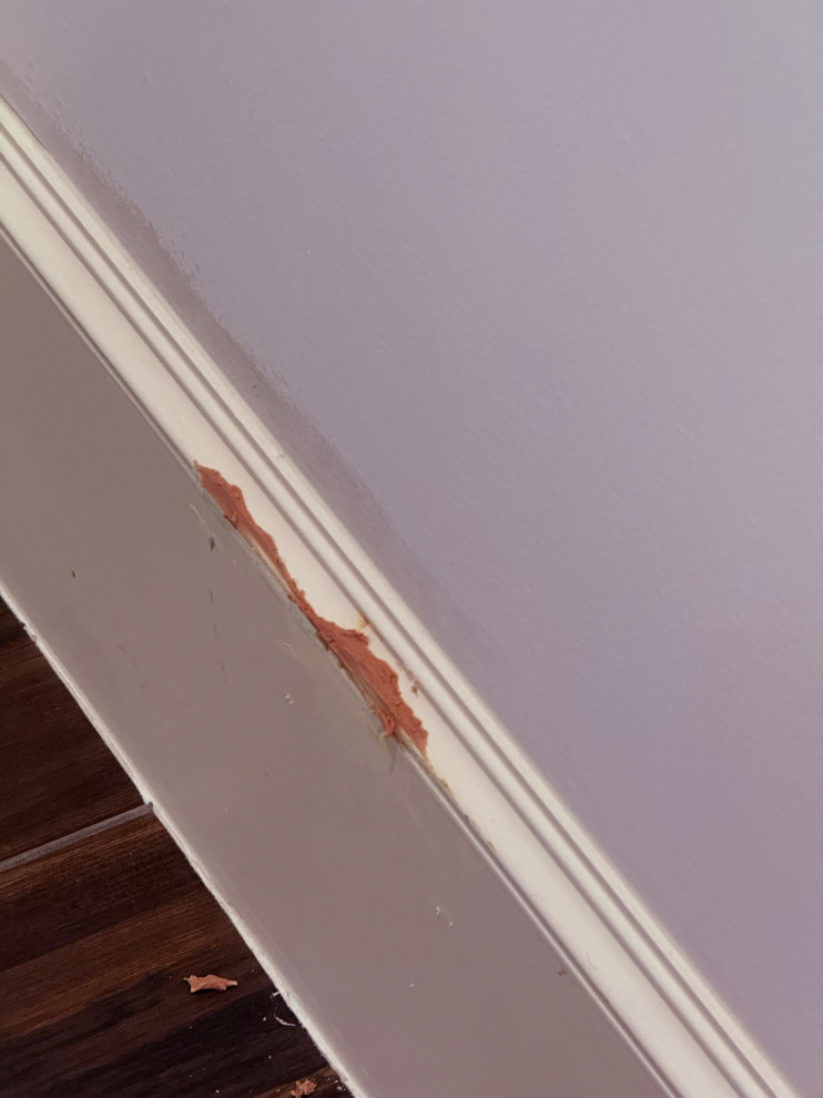 SV215 - Interior Painting