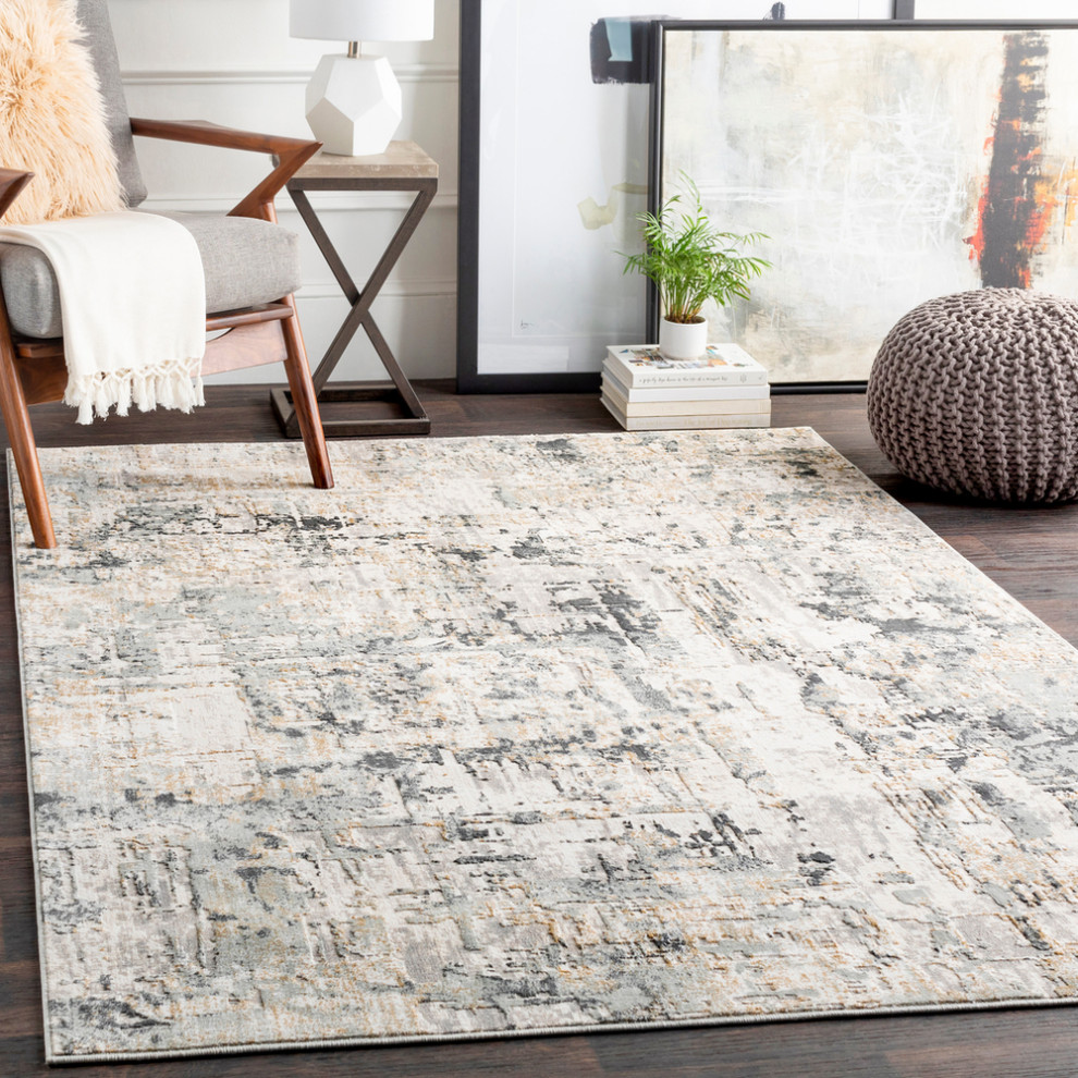Surya Quatro QUA2302 Traditional Area Rug, 7'10" x 10'3" Rectangle Contemporary Area Rugs