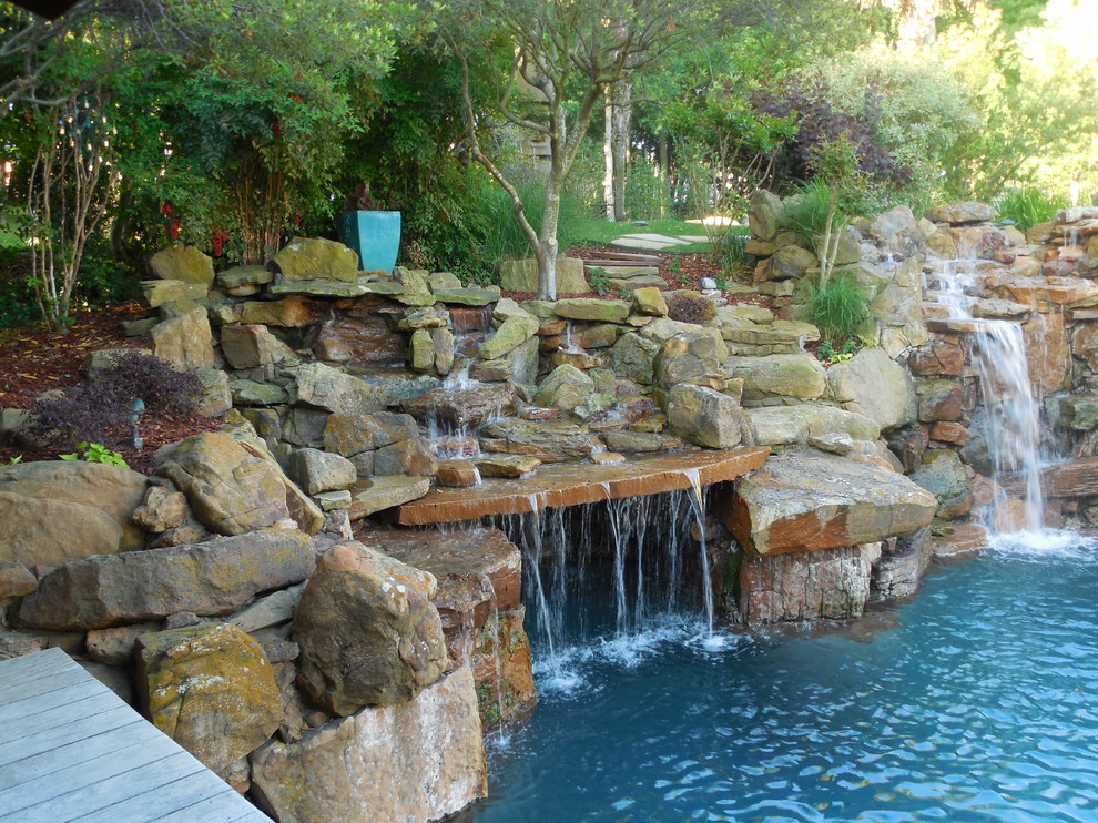 Tropical Oasis As Seen On Animal Planet The Pool Master Tropical Pool Dallas By Pool Environments Inc