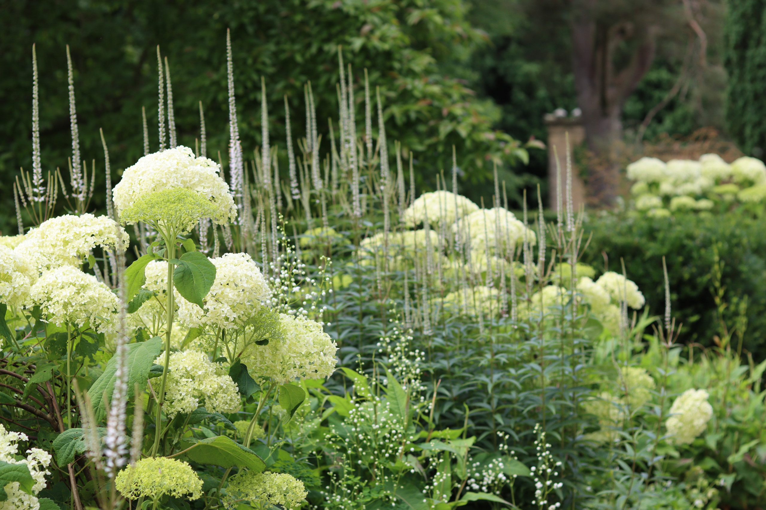 Pollinator garden with native plants and custom stone hardscapes