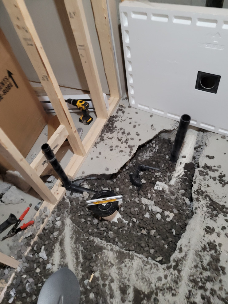 Basement Bathroom