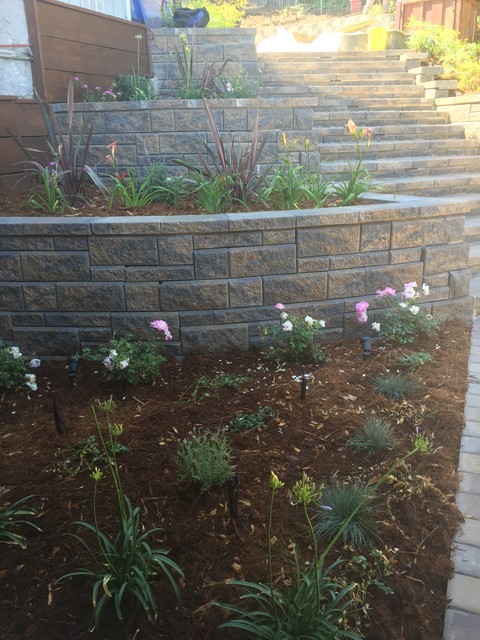 los altos american-traditional-garden