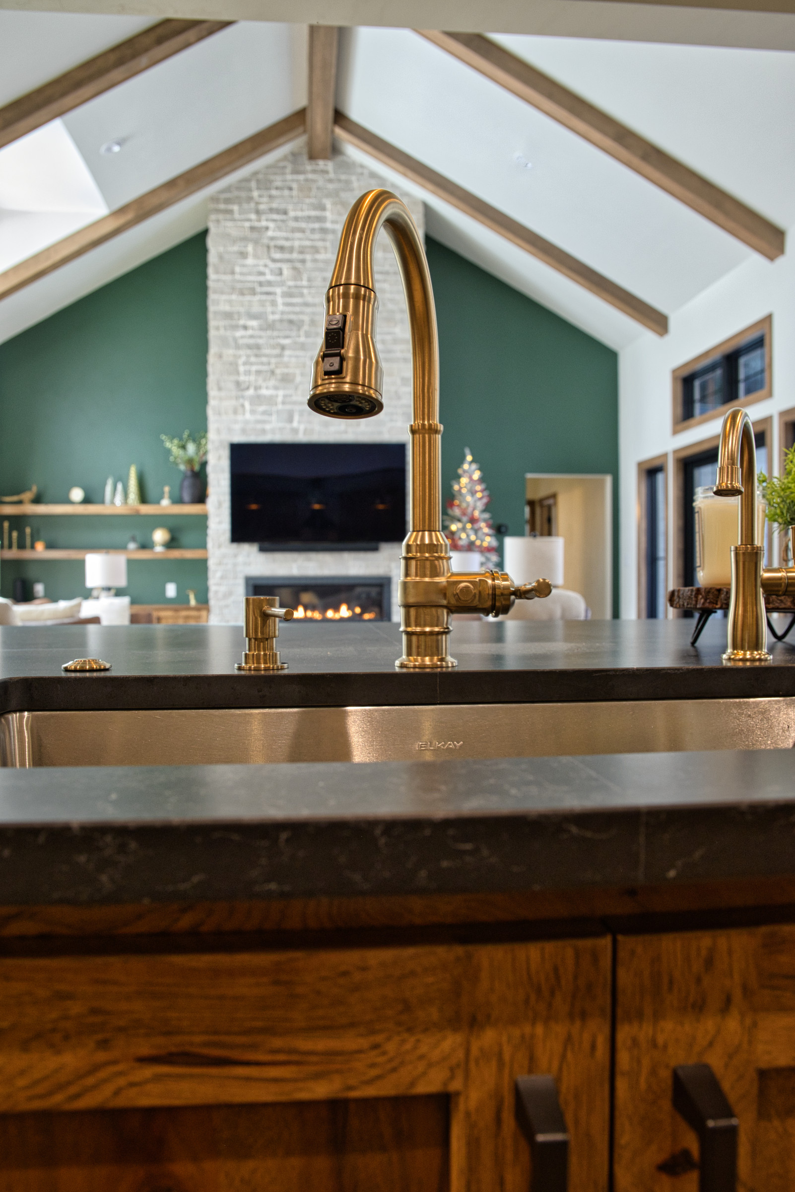 Kitchen Sink and Faucet close up