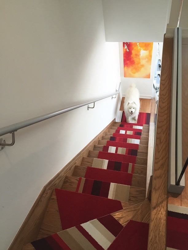 Photo of a mid-sized contemporary carpeted floating staircase in Toronto with open risers.