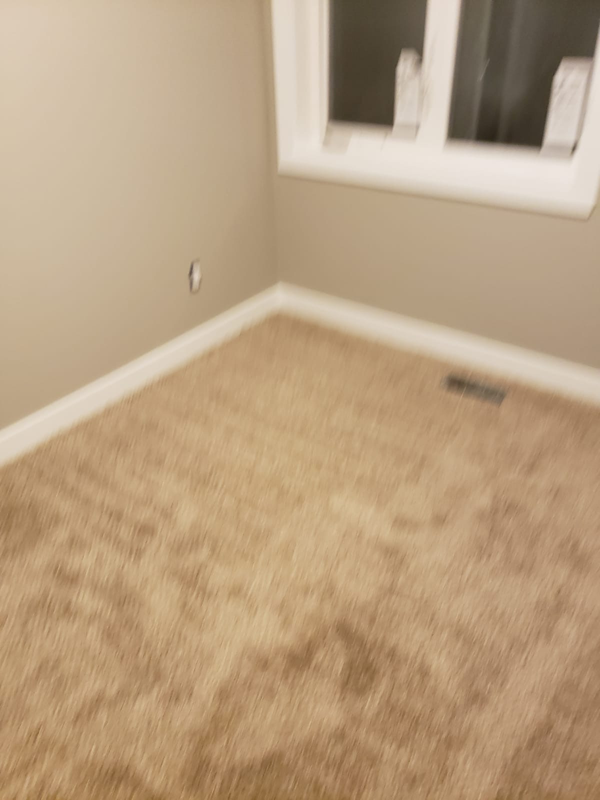 Carpet