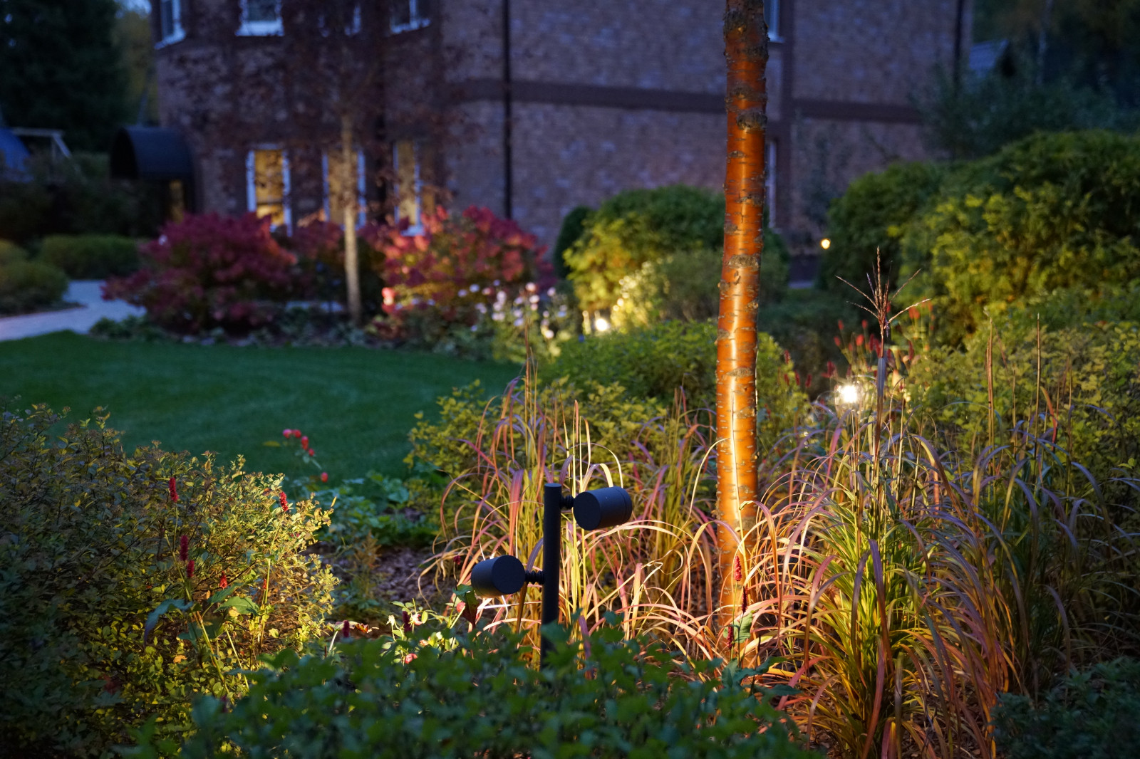 Круговорот  цвета. Дубровка 2021