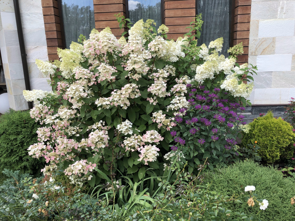 Сад в поселке Салтыковка