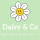 Daisy & Co