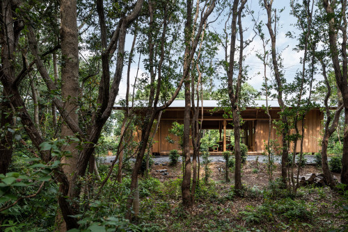 伊勢志摩の木と土と石で建てた 森の中に佇む家 Houzz ハウズ