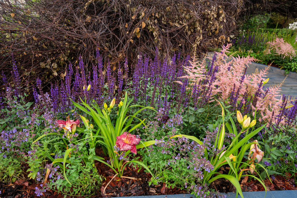 Фотосъемка Сада   по  Метрелинку на MFS 2019 Авторы М,Береснева М. ПРИНТЦ