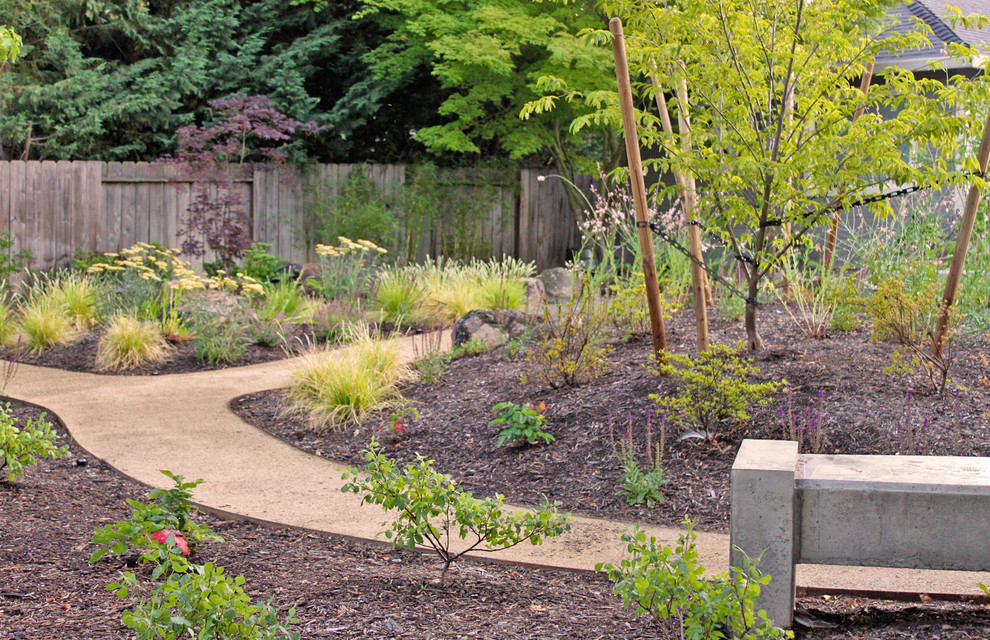 Mid-sized contemporary backyard full sun xeriscape in Other with a garden path and gravel for summer.