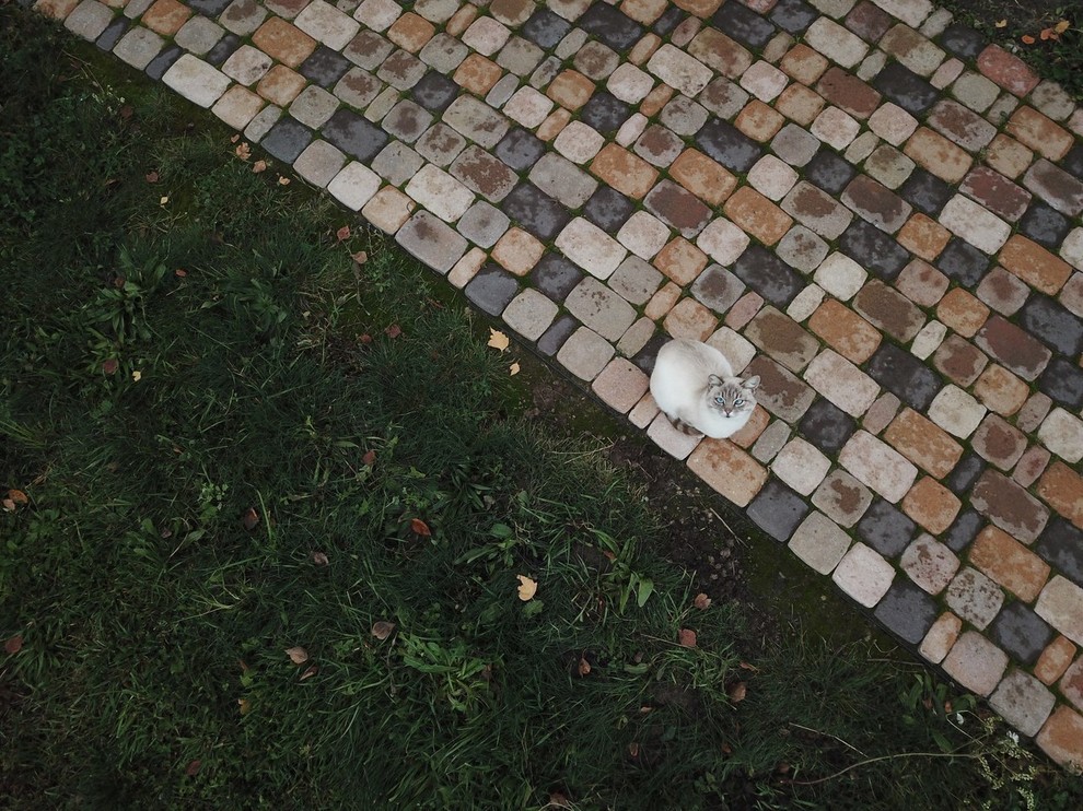 Сад "Каликат"