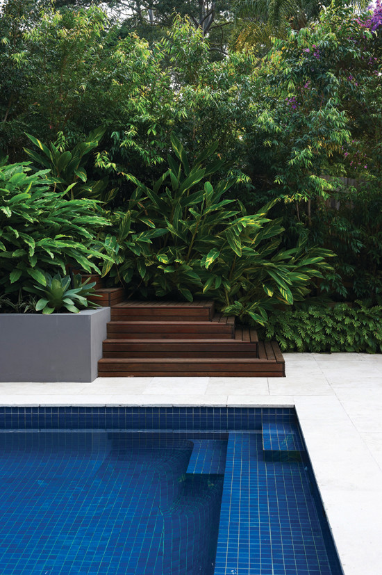 This is an example of a transitional pool in Sydney.