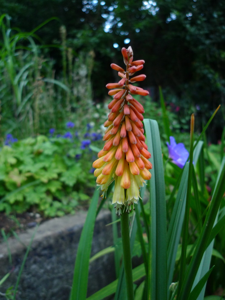 Medium sized vintage front garden for summer in Other.