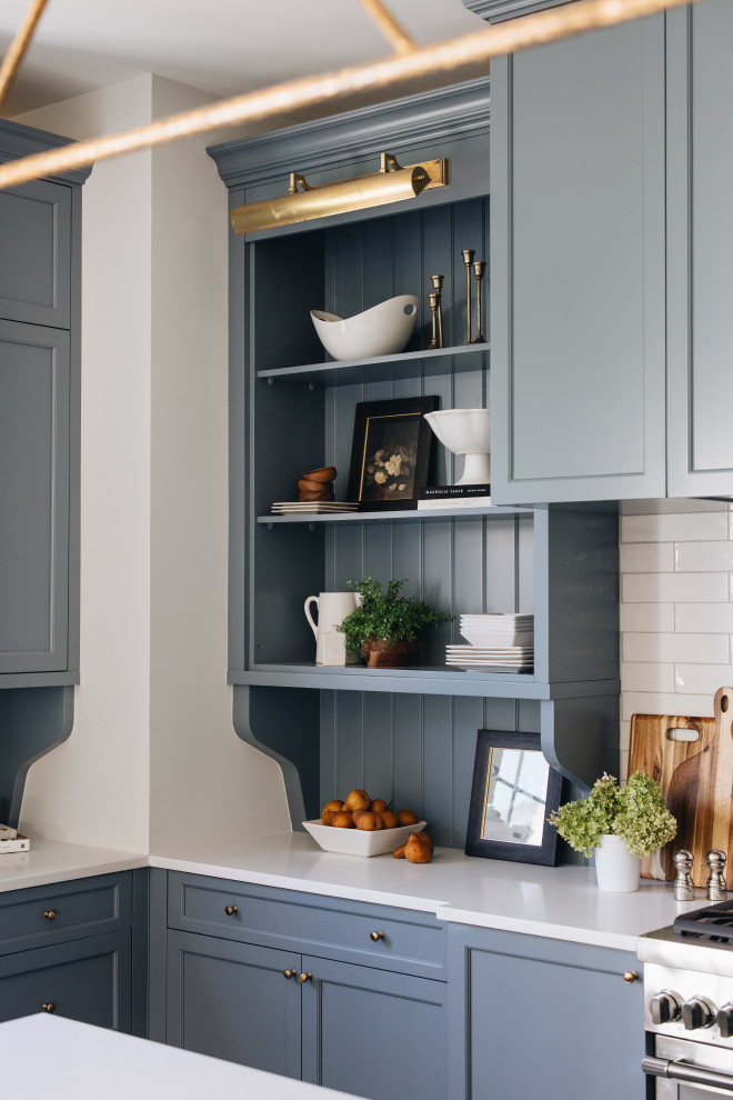 Home design - transitional home design idea in Chicago