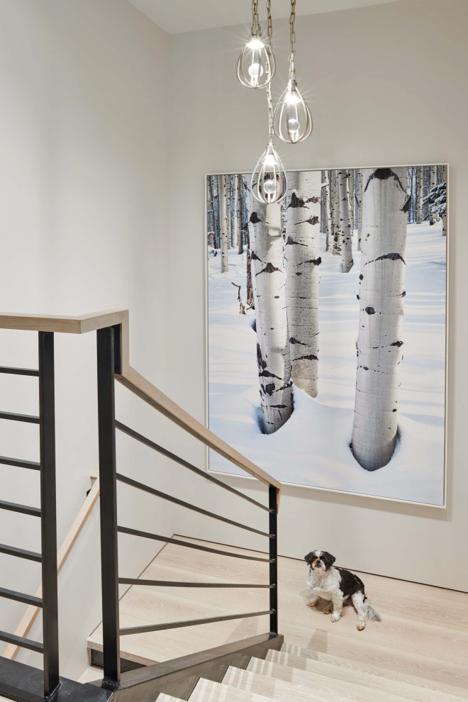 Example of a mid-sized trendy wooden u-shaped wood railing staircase design in Denver with wooden risers
