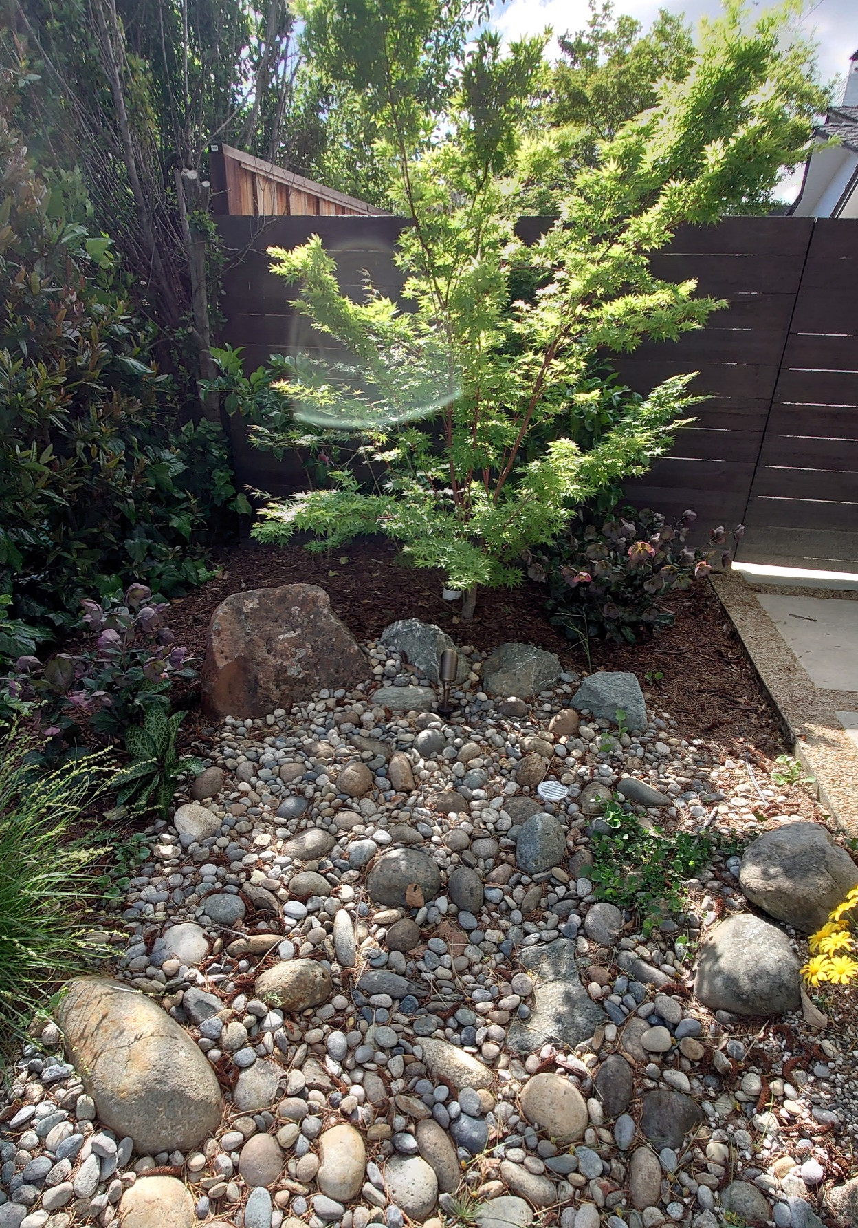 MODERN, MODERN, MODERN