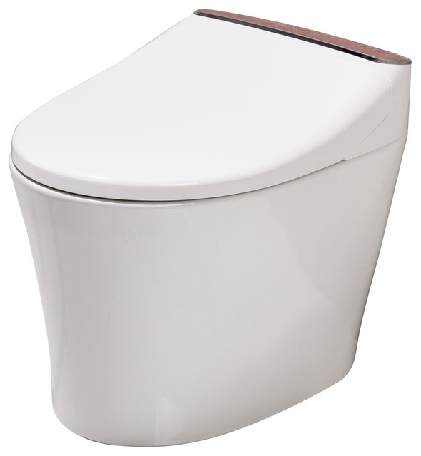 Dyconn Faucet Aphrodite Tankless All In One Combo Bidet And Smart Dyconn Faucet Aphrodite Tankless All In One Combo Bidet And Smart Toilet