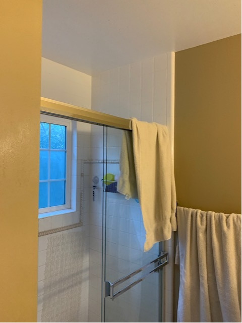 Marin Primary Bathroom Before