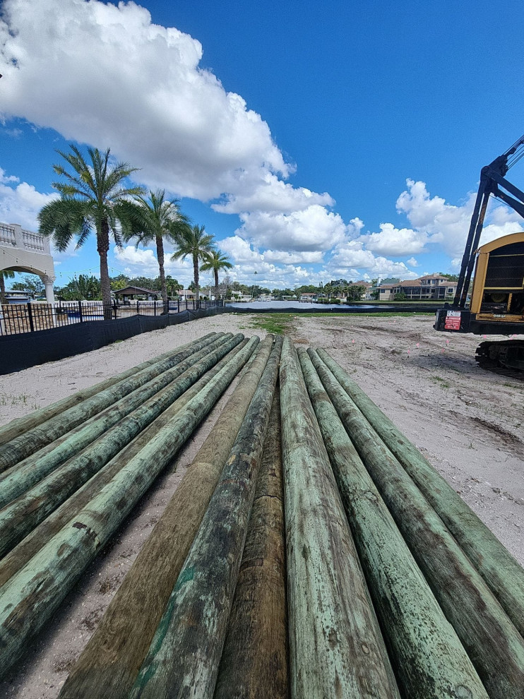 Tarpon Springs Project 2024/2025