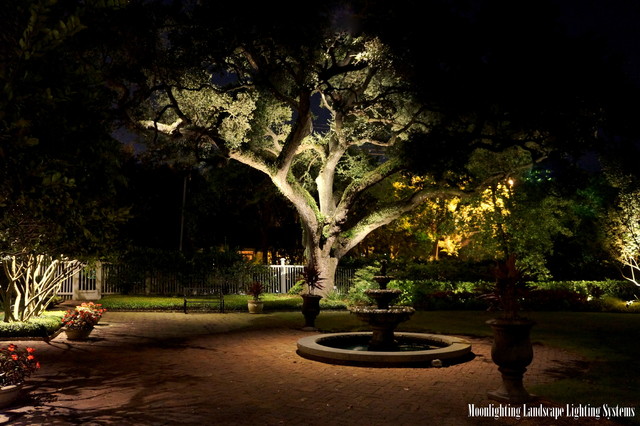 moonlighting tree lighting