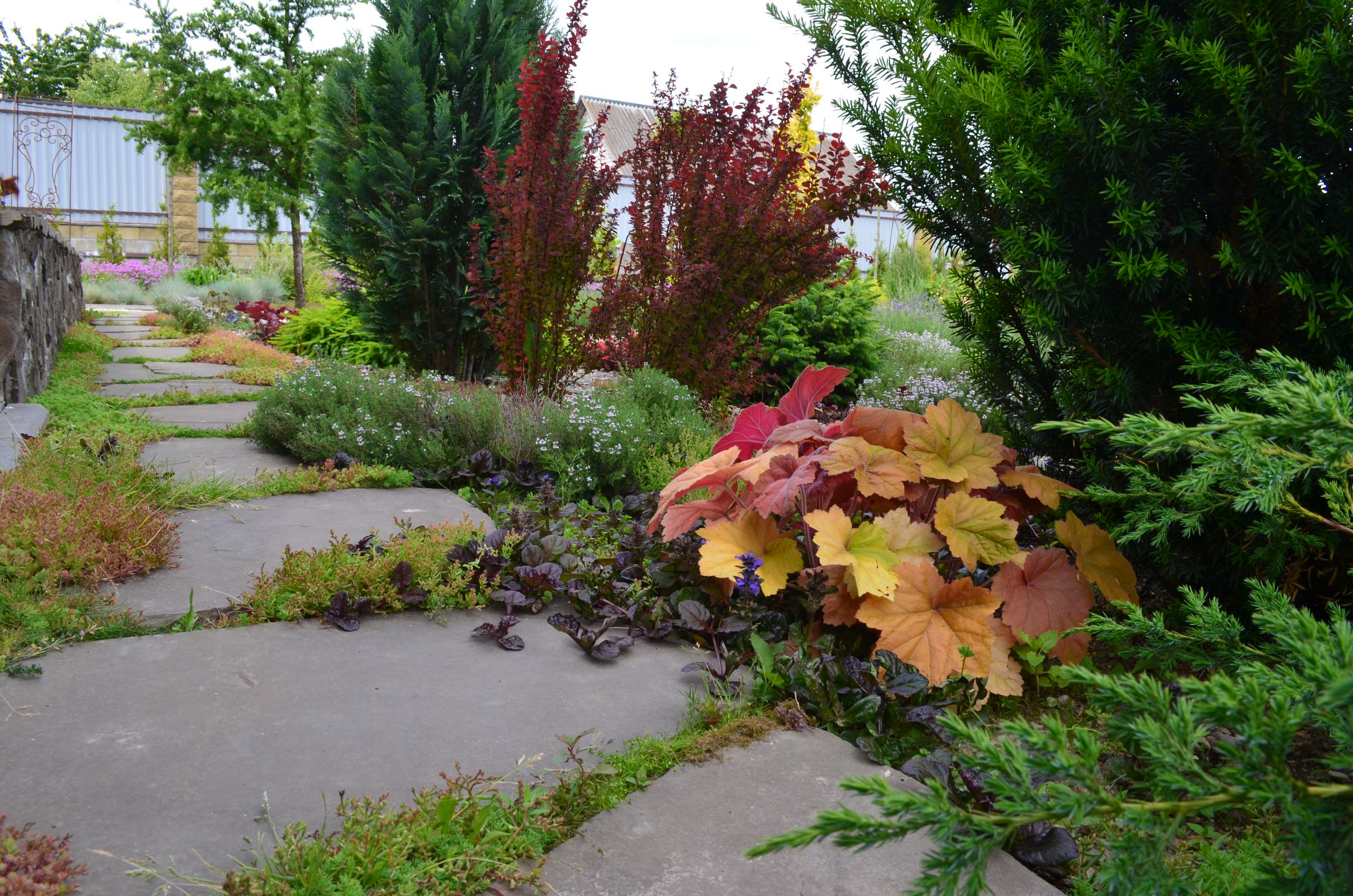 Сад "Ароматы Прованса"