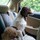 bev_gramlich