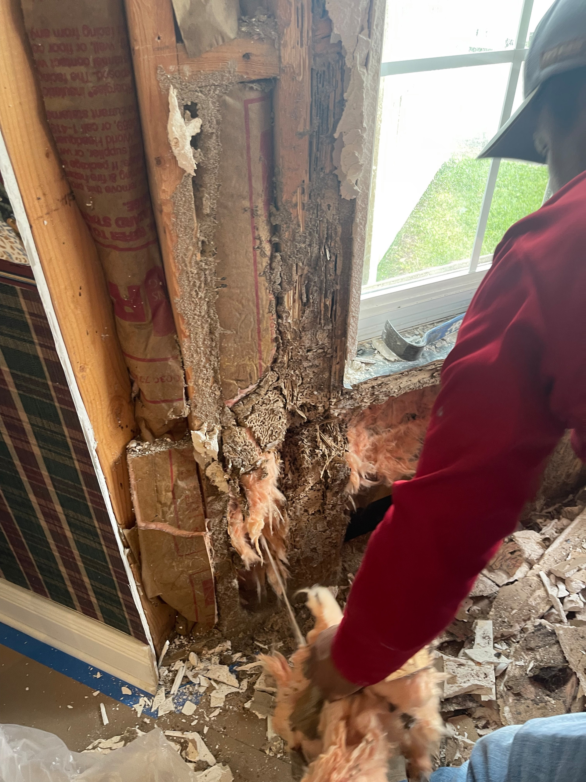 Termite Restoration